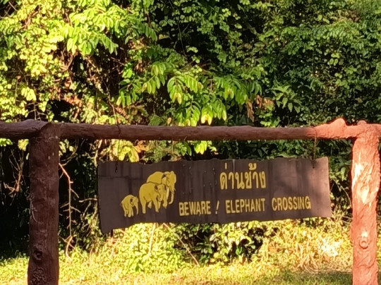 Khao Yai National Park-北丕必去景点