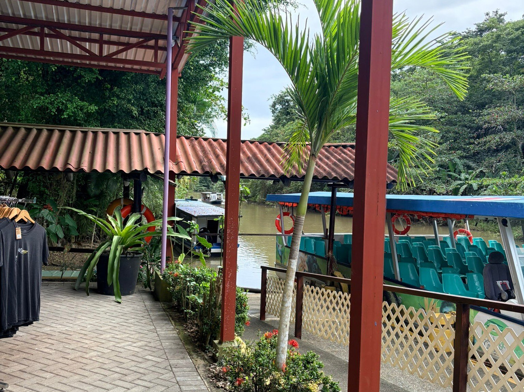 Tortuguero Canal-利蒙港必去景点