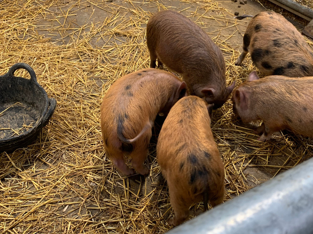 Monk Park Farm-Bagby必去景点