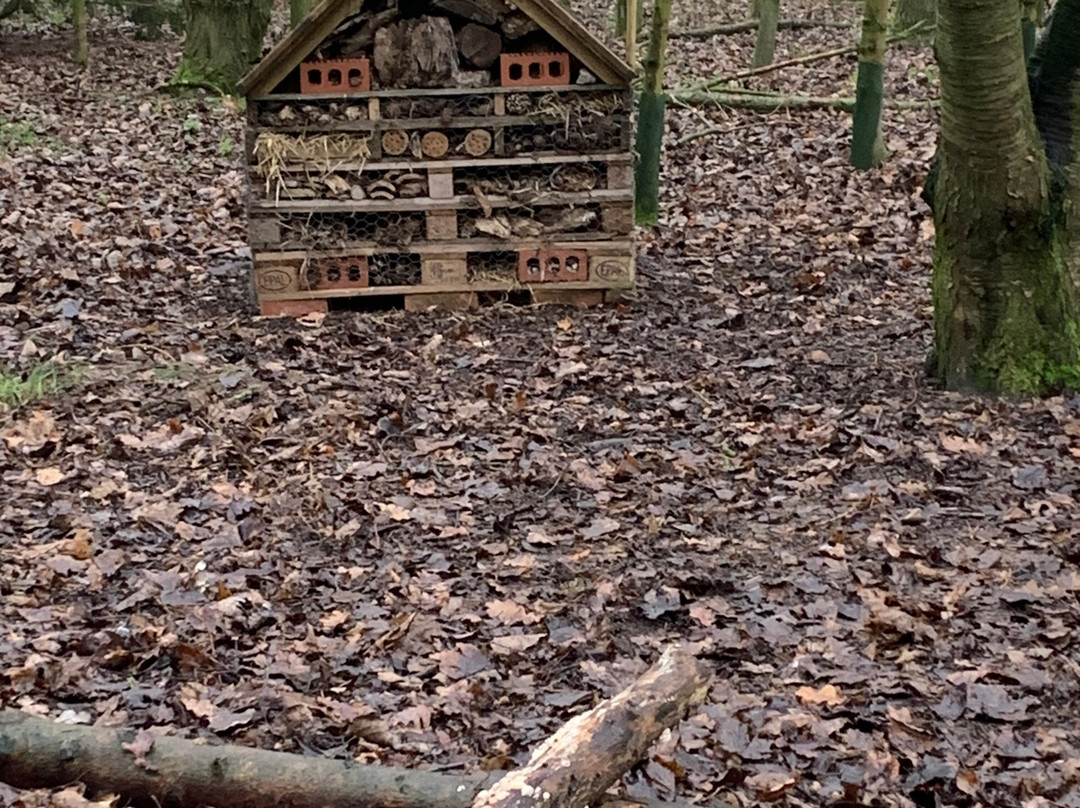 Monk Park Farm-Bagby必去景点