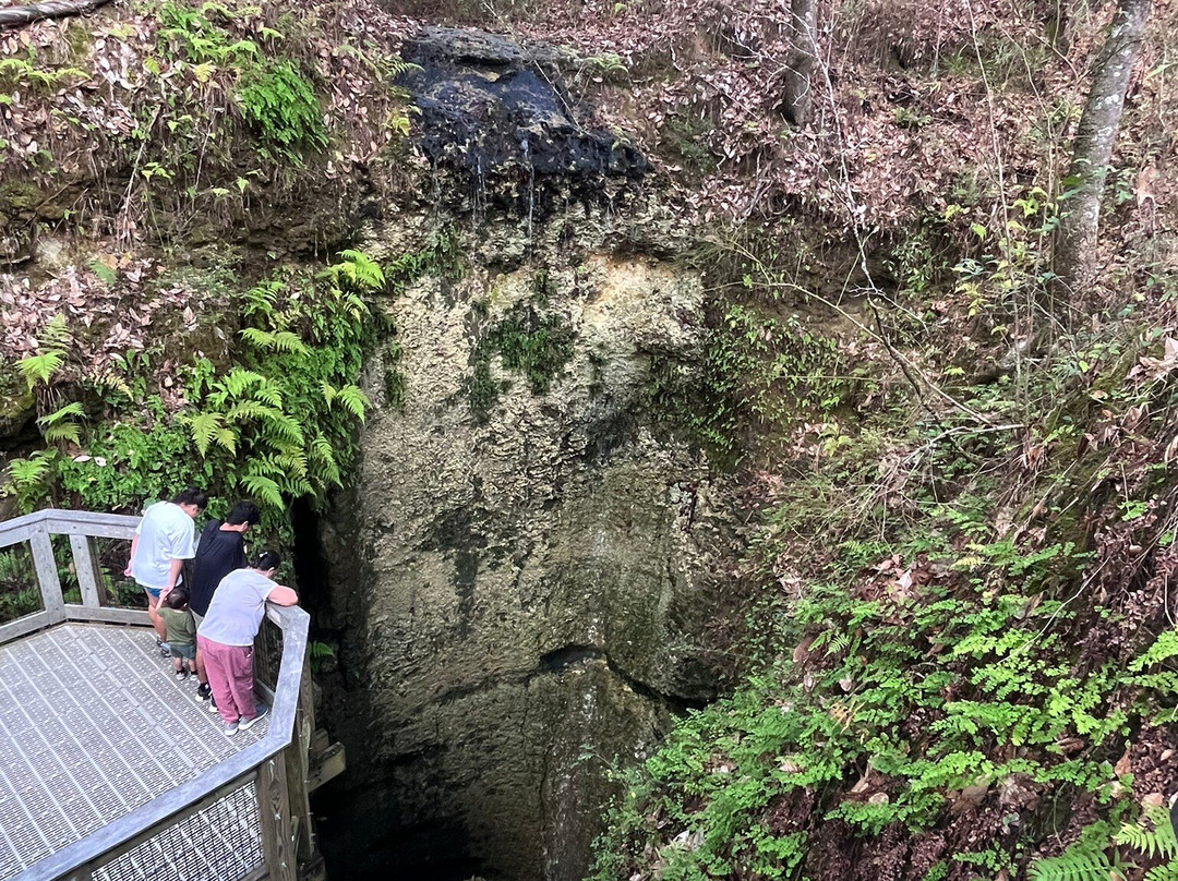 Falling Waters State Park-Chipley必去景点