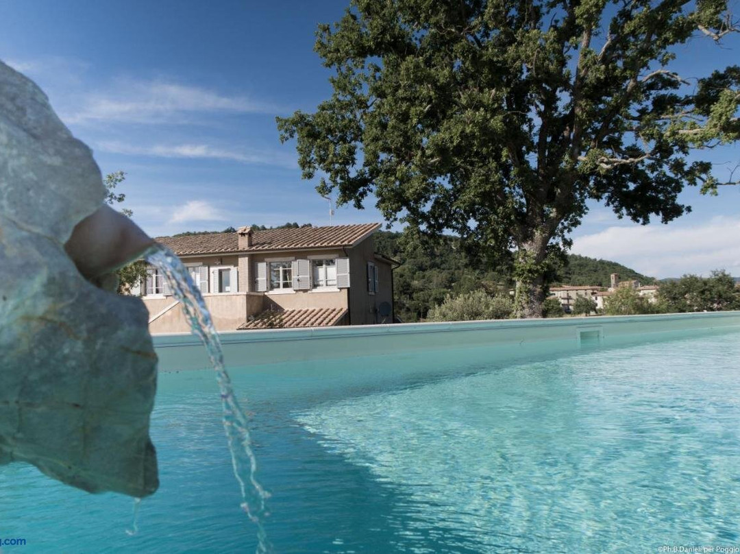 Bio Agriturismo Poggio Aione