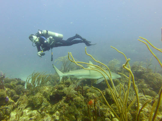 Dive BVI-Spanish Town必去景点