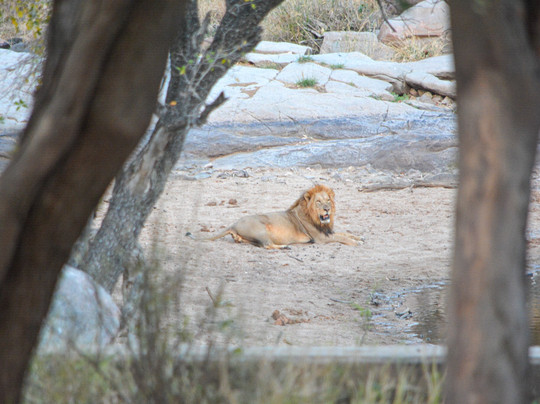 African Safari Group-开普敦必去景点
