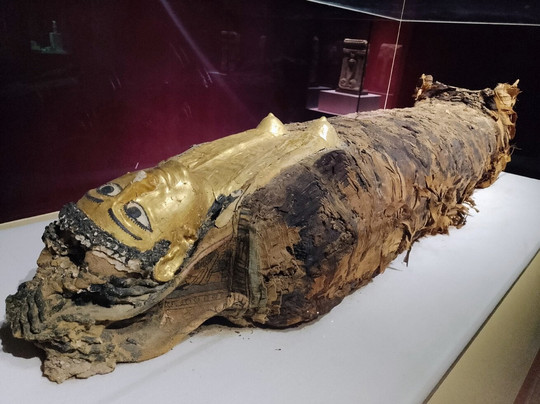 Hurghada Museum-赫尔格达必去景点