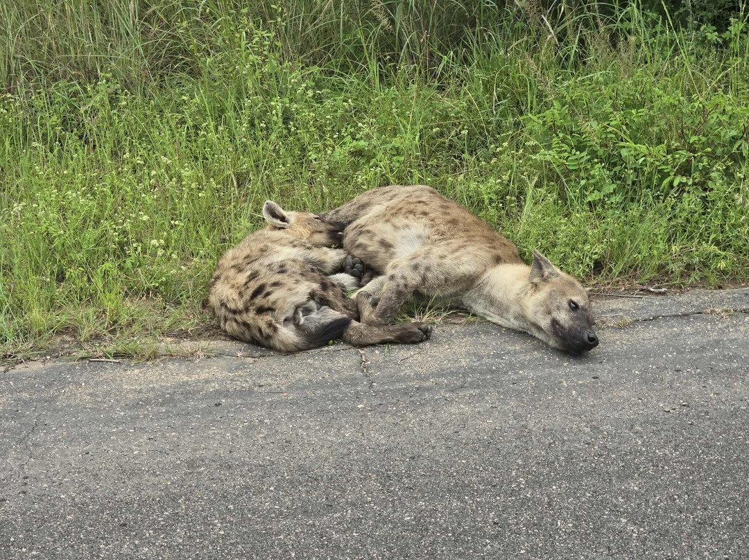 CD Tours - Day Trips-马里兰必去景点