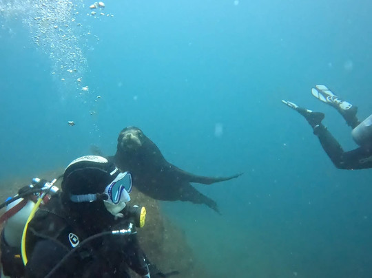 Blue Nation-洛雷托必去景点