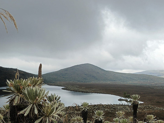 Reserva Ecologica El Ángel-El Angel必去景点