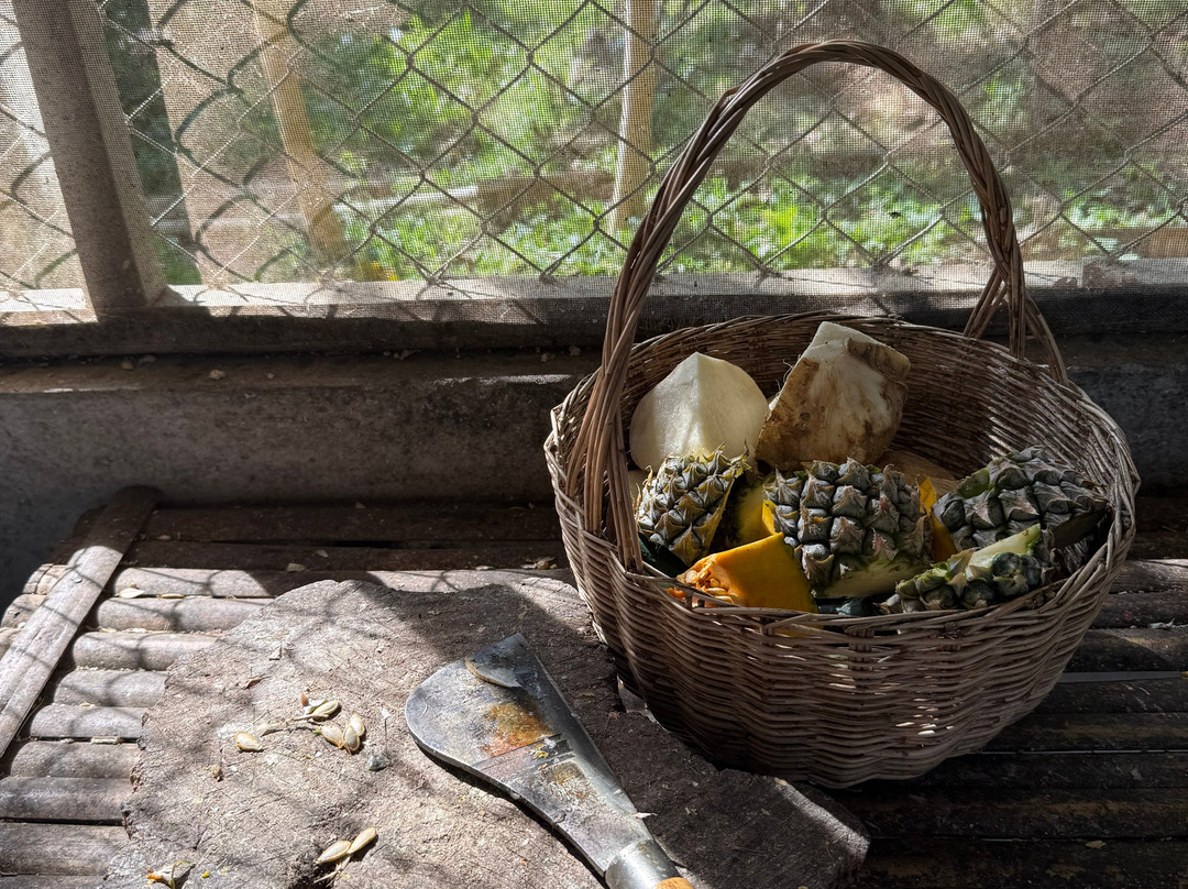 Phuket Elephant Nature Reserve-他朗必去景点