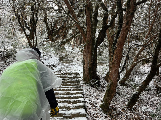 Alpine Ramble Treks-加德满都必去景点