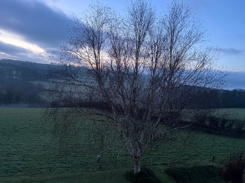 贝拉农场旅馆主图