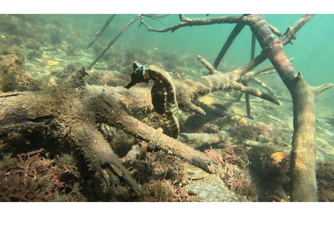 Galapagos Surf Adventure-Puerto Baquerizo Moreno必去景点