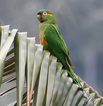 Paramo Trek Salento-萨伦托必去景点