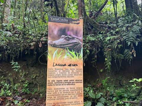 Yana Cocha-Puyo必去景点