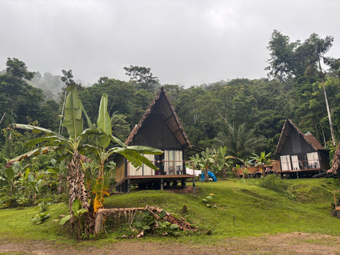 Peru Amazon Expeditions-Manu必去景点