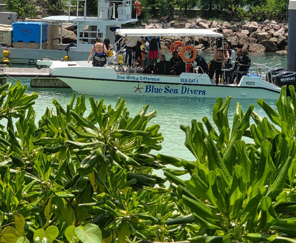 Blue Sea Divers Sainte-Anne-Sainte Anne Island必去景点