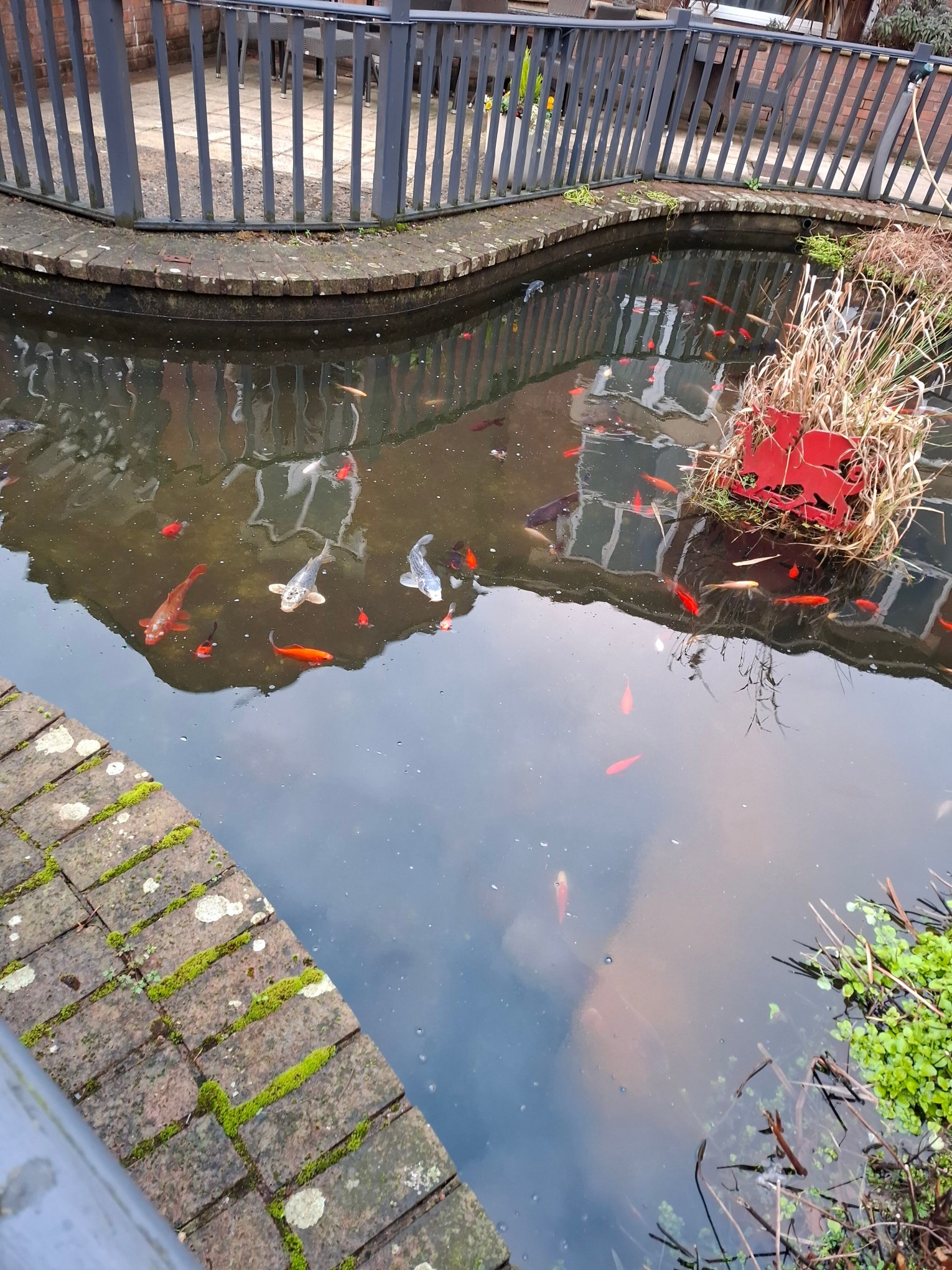 纽波特希尔顿酒店-官方