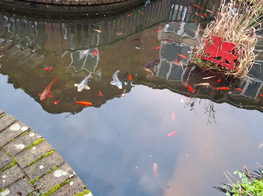 纽波特希尔顿酒店主图