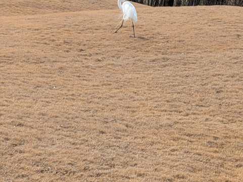 Tpc Louisiana-Avondale必去景点