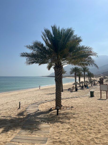 西法威精品酒店-官方