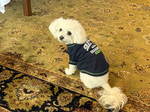 安克雷奇住宿加早餐旅馆主图