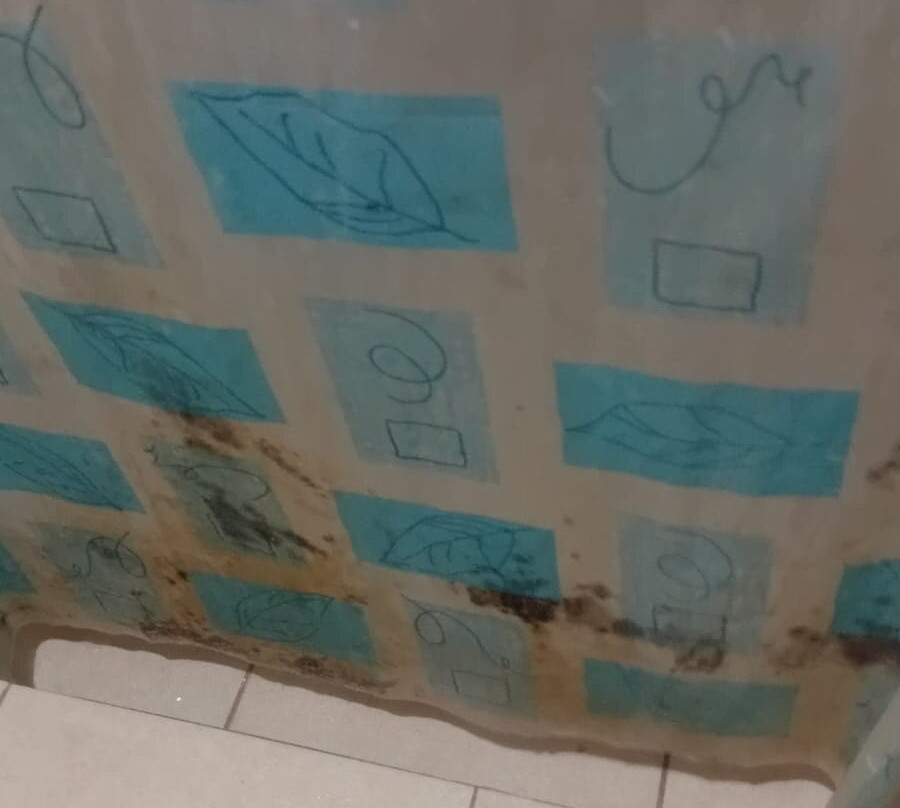 La Revoltosa de Tala