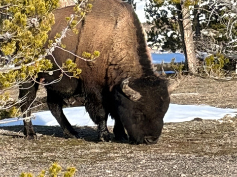 Austin Adventures-比灵斯必去景点