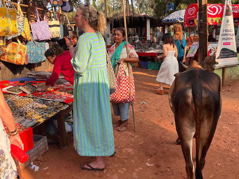 Anjuna Market-安朱纳必去景点
