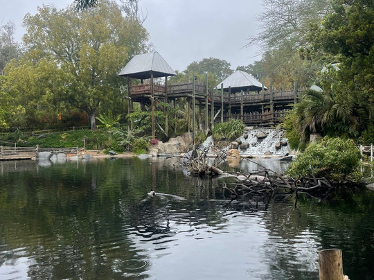 圣地亚哥野生动物公园-埃斯孔迪多必去景点