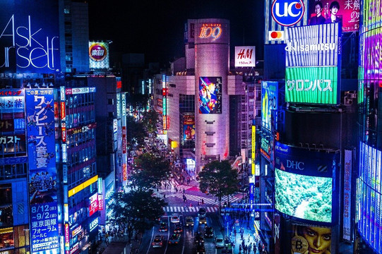 Uvamai Niche Tourism-京都市必去景点