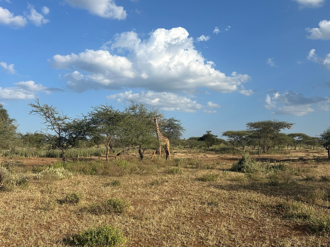 Nature Insight Safaris-内罗毕必去景点