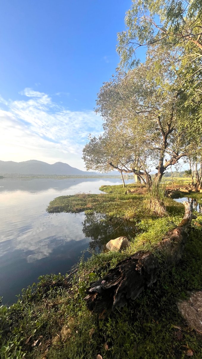 罗望子湖格兰德酒店-官方