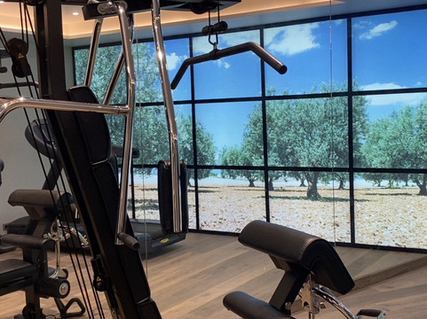 Best Western Plus le Lavarin主图