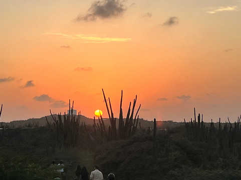 Rancho Loco-Santa Cruz必去景点