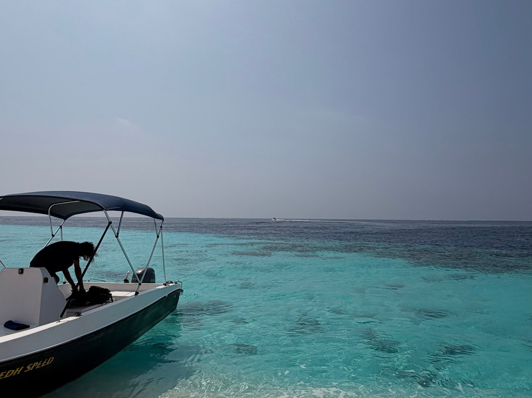 Ameera Travel & Tours