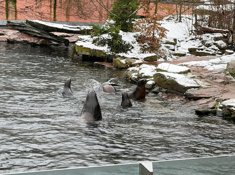 Tiergarten Nuernberg-纽伦堡必去景点