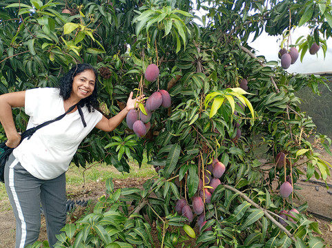 Sítio Frutas Vermelhas-Mucuge必去景点