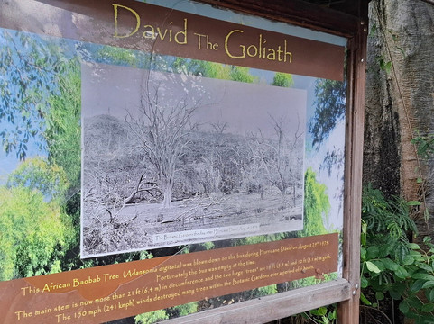 David and Goliath-罗索必去景点