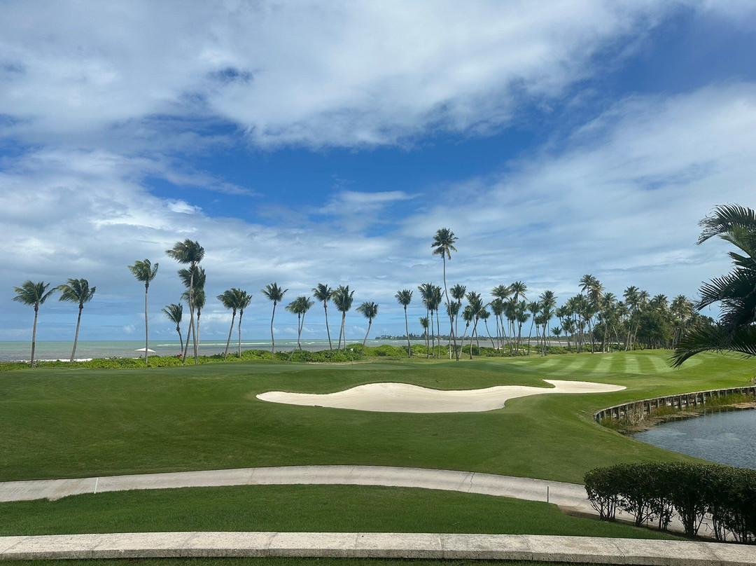 Bahia Beach Resort & Golf Club主图
