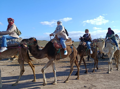 前往摩洛哥-马拉喀什必去景点