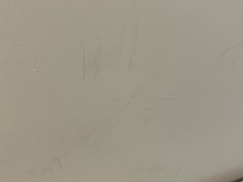 修道院之苑主图