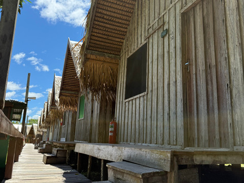 Iguana Turismo-玛瑙斯必去景点