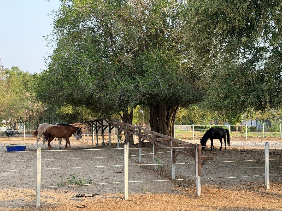 Hua Hin Horse Club-Nong Kae必去景点