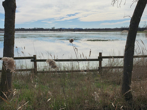 Parc Natural dels Aiguamolls de l'Emporda-罗塞斯必去景点
