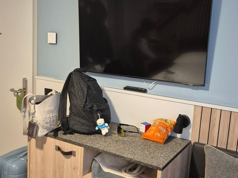 Hotel Swiss Holiday Park主图