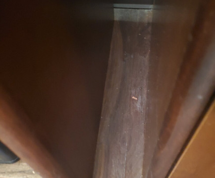 库恩拉匹兹美吟温德姆酒店主图