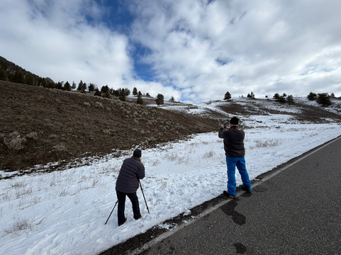 Lamar Valley Touring-加德纳必去景点