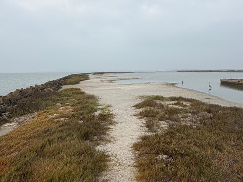 Goose Island State Park-罗克波特必去景点