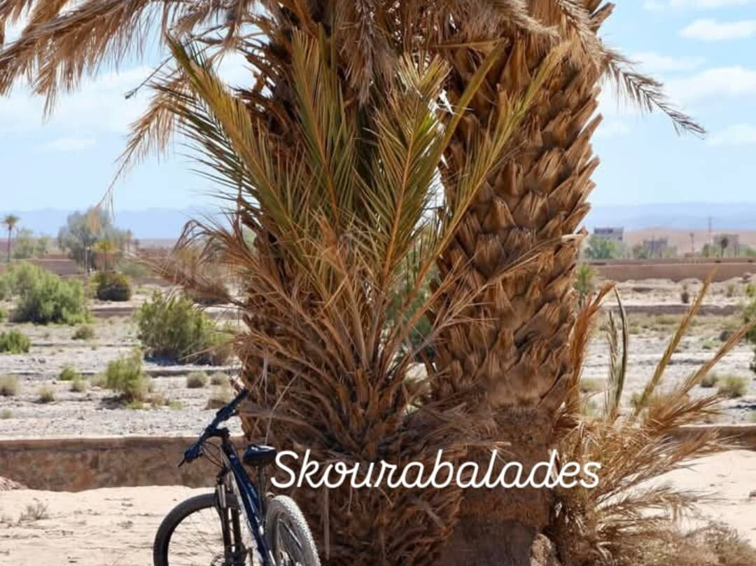 Visite privée dans La  vallée de Sidiflah avec atelier de pain traditionnel-Sidi Flah必去景点