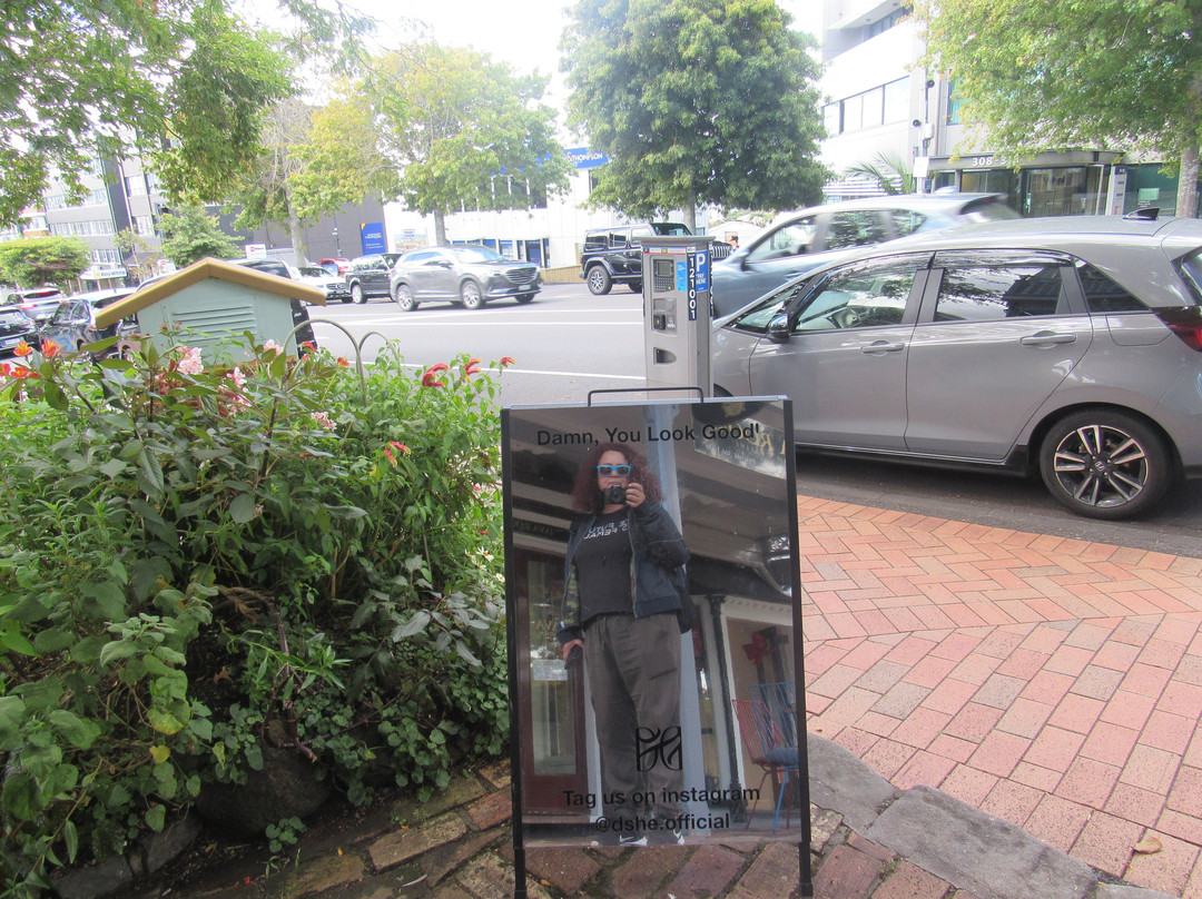 帕内尔大道-奥克兰中心地区必去景点